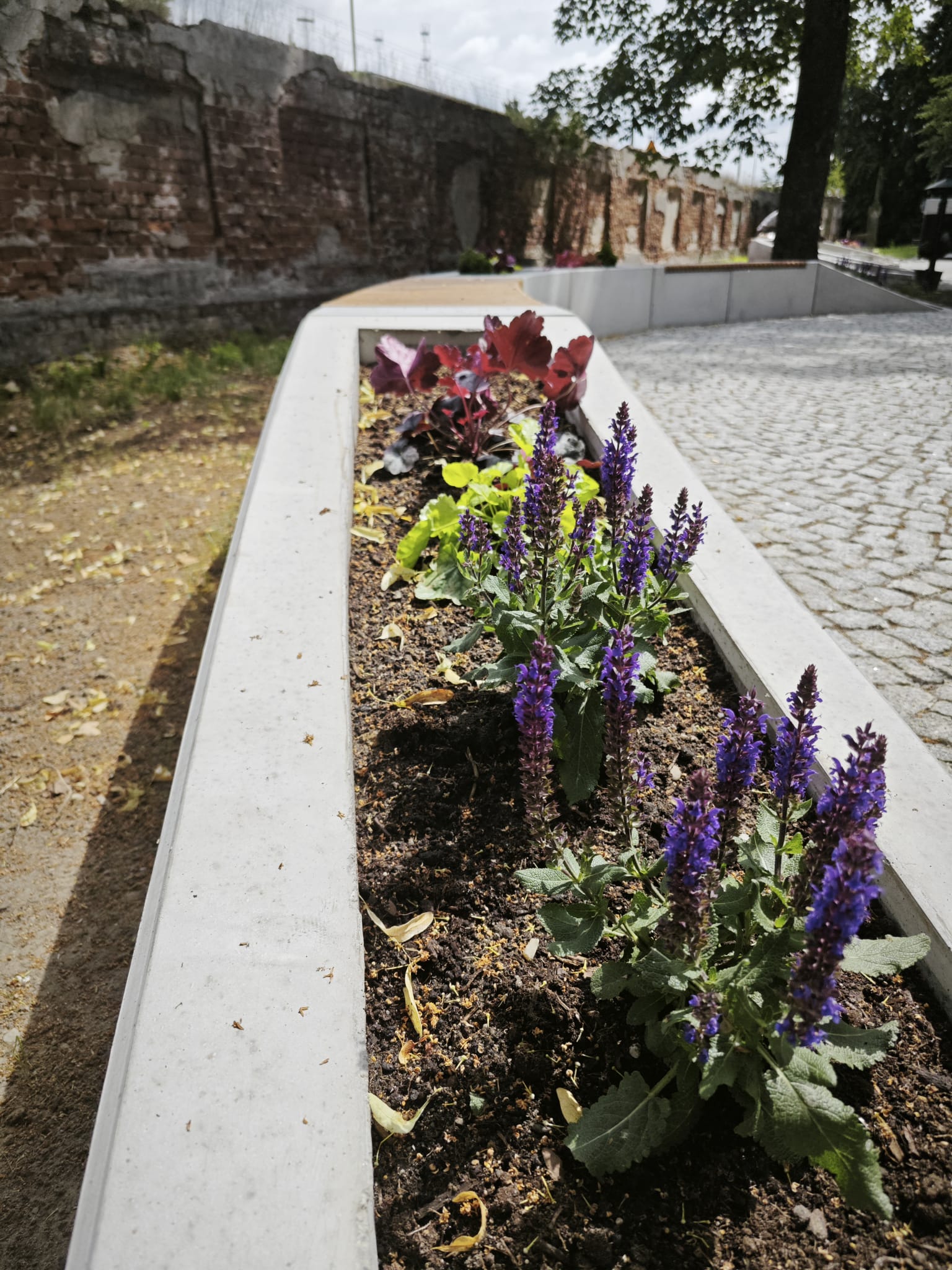 Park w Jelczu-Laskowicach