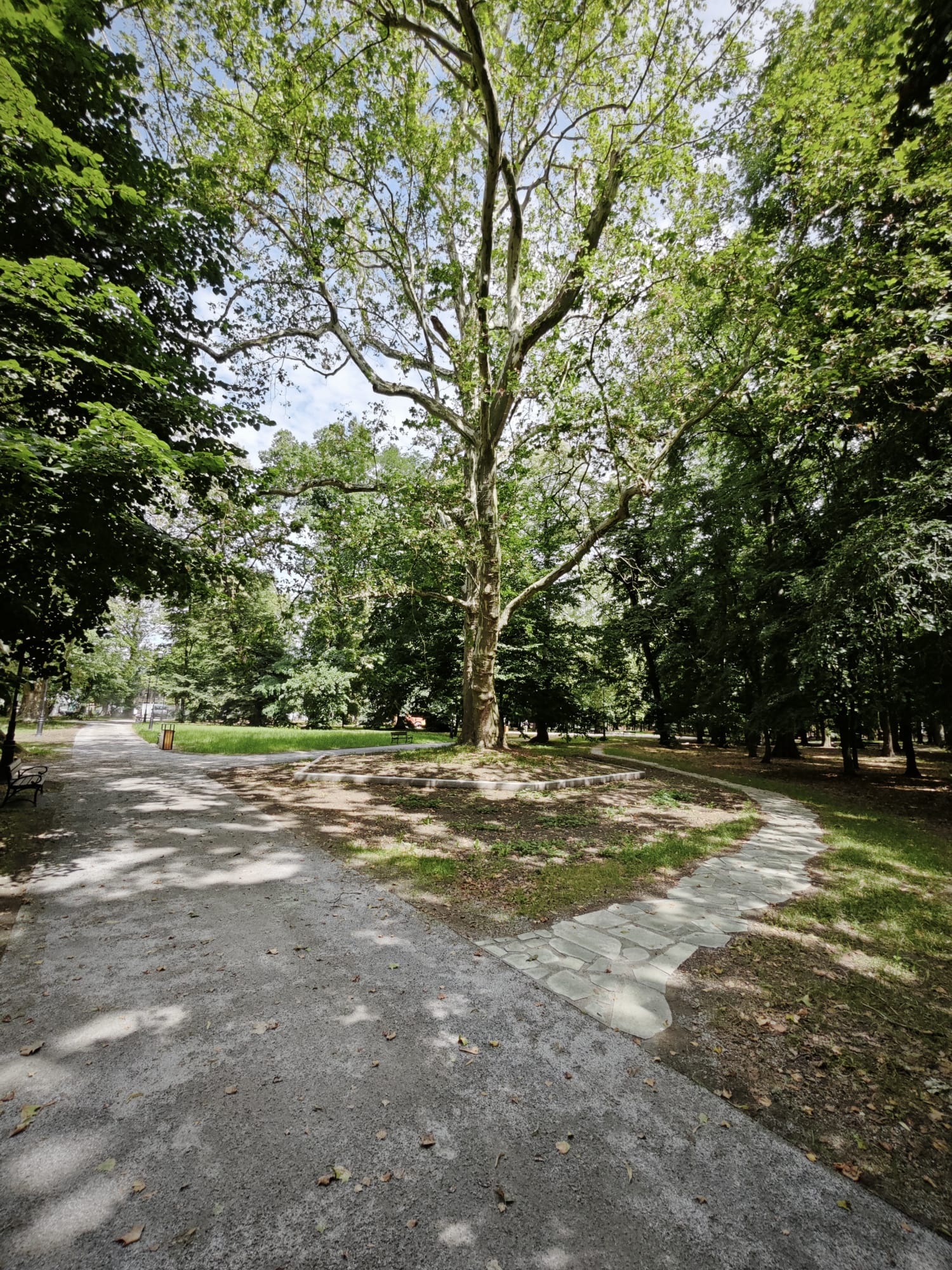 Park w Jelczu-Laskowicach