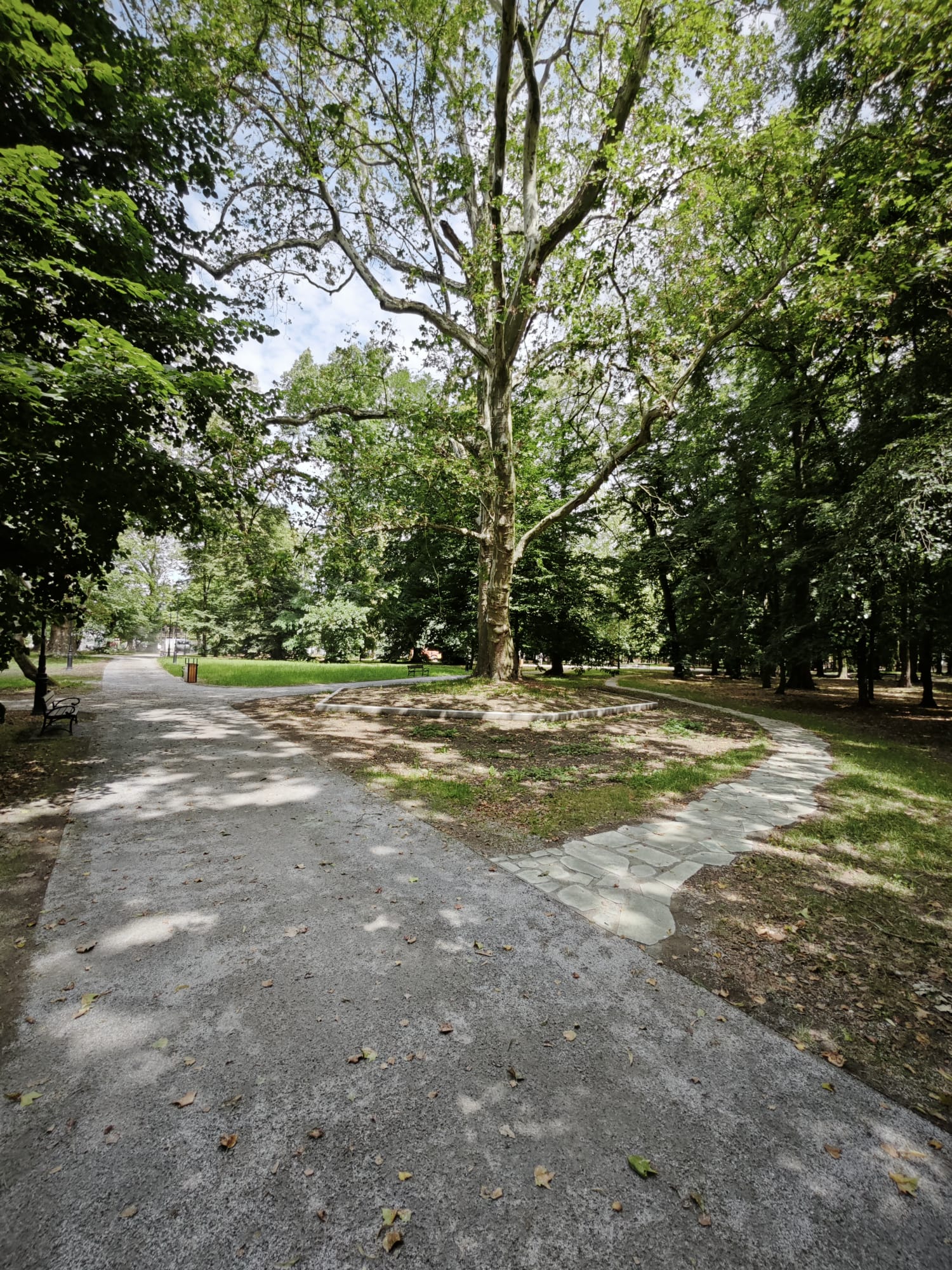 Park w Jelczu-Laskowicach