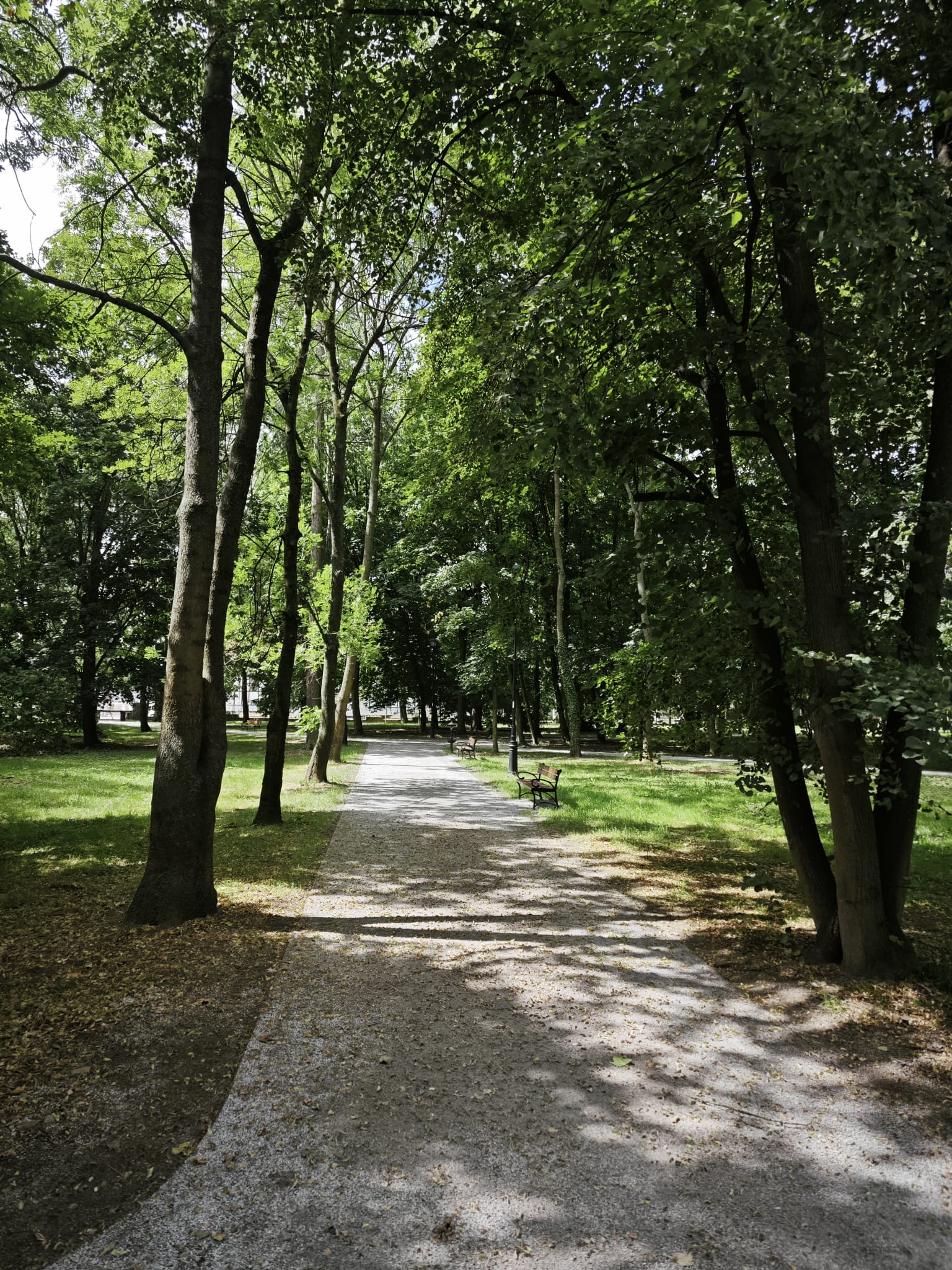 Park w Jelczu-Laskowicach
