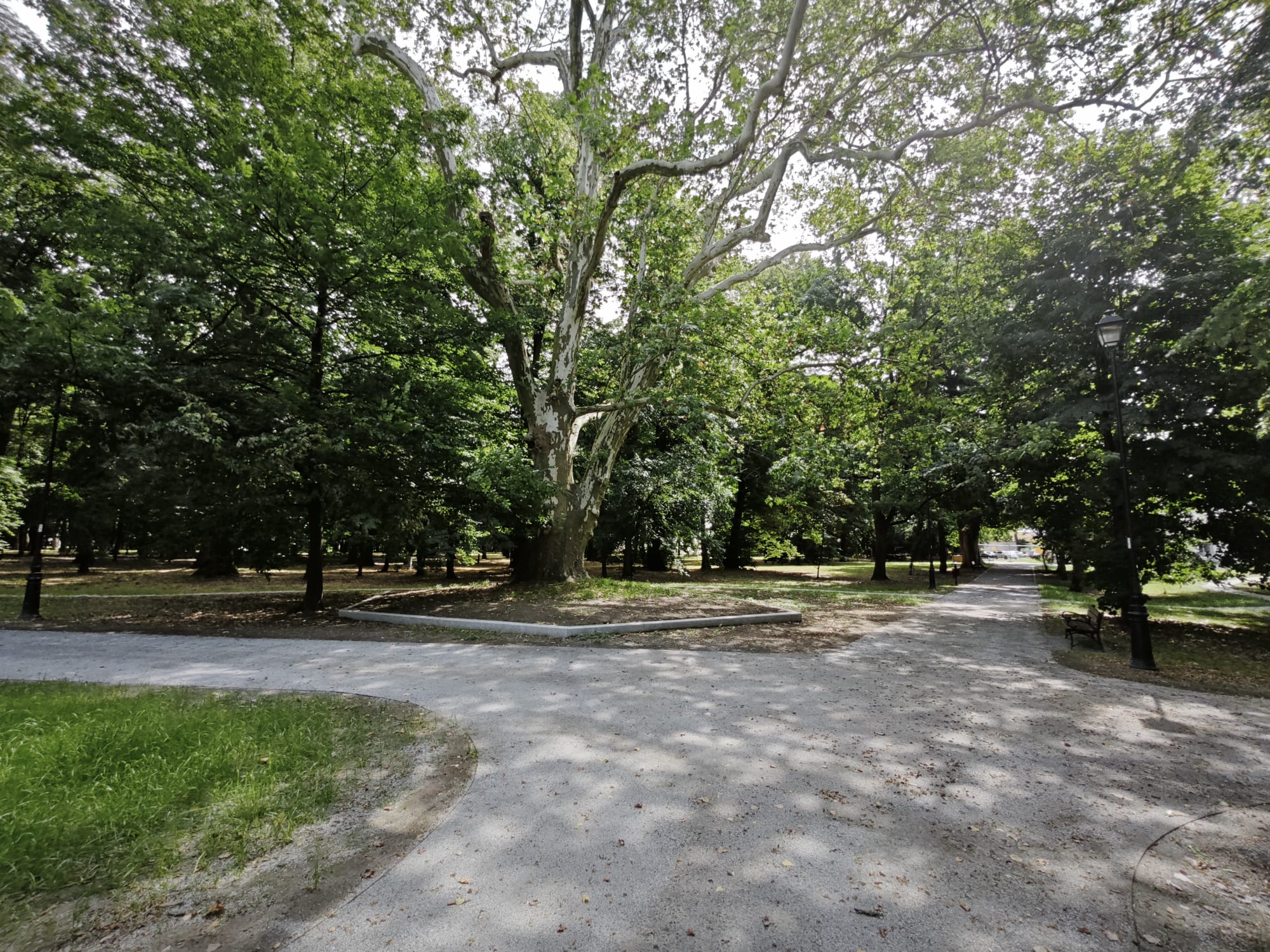 Park w Jelczu-Laskowicach