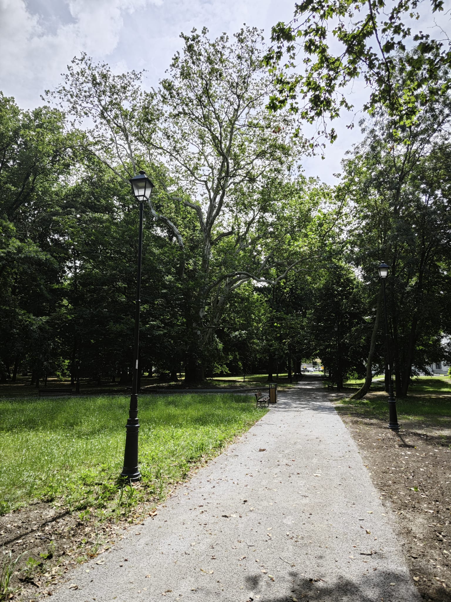 Park w Jelczu-Laskowicach